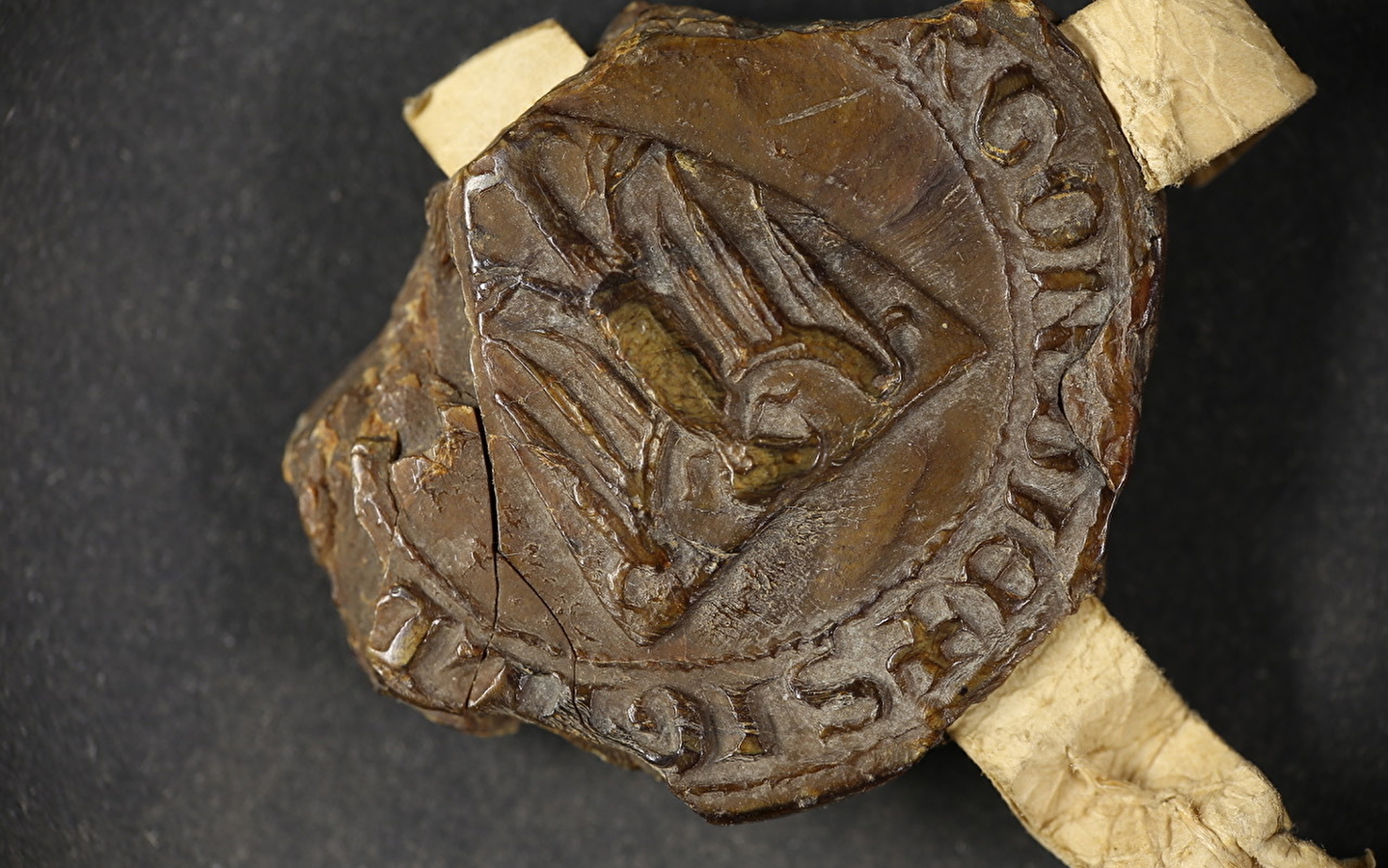 Les RDV de l'Histoire de Dole - Dole, from its origins to the first half of the 14th century