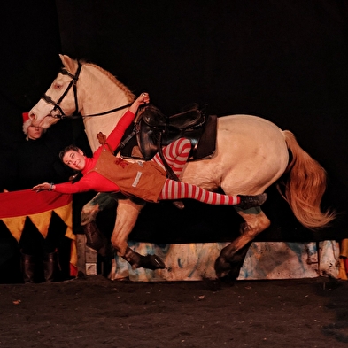 'La mission de Noel' equestrian show, écurie du Cerneux