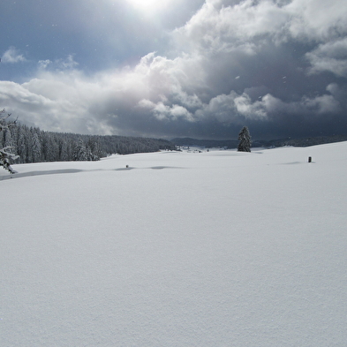 Discover the Hautes-Combes du Jura on snowshoes