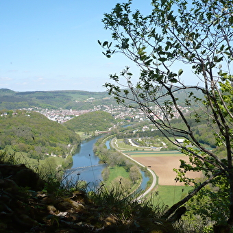 Mount dommage hiking loop - BAUME-LES-DAMES