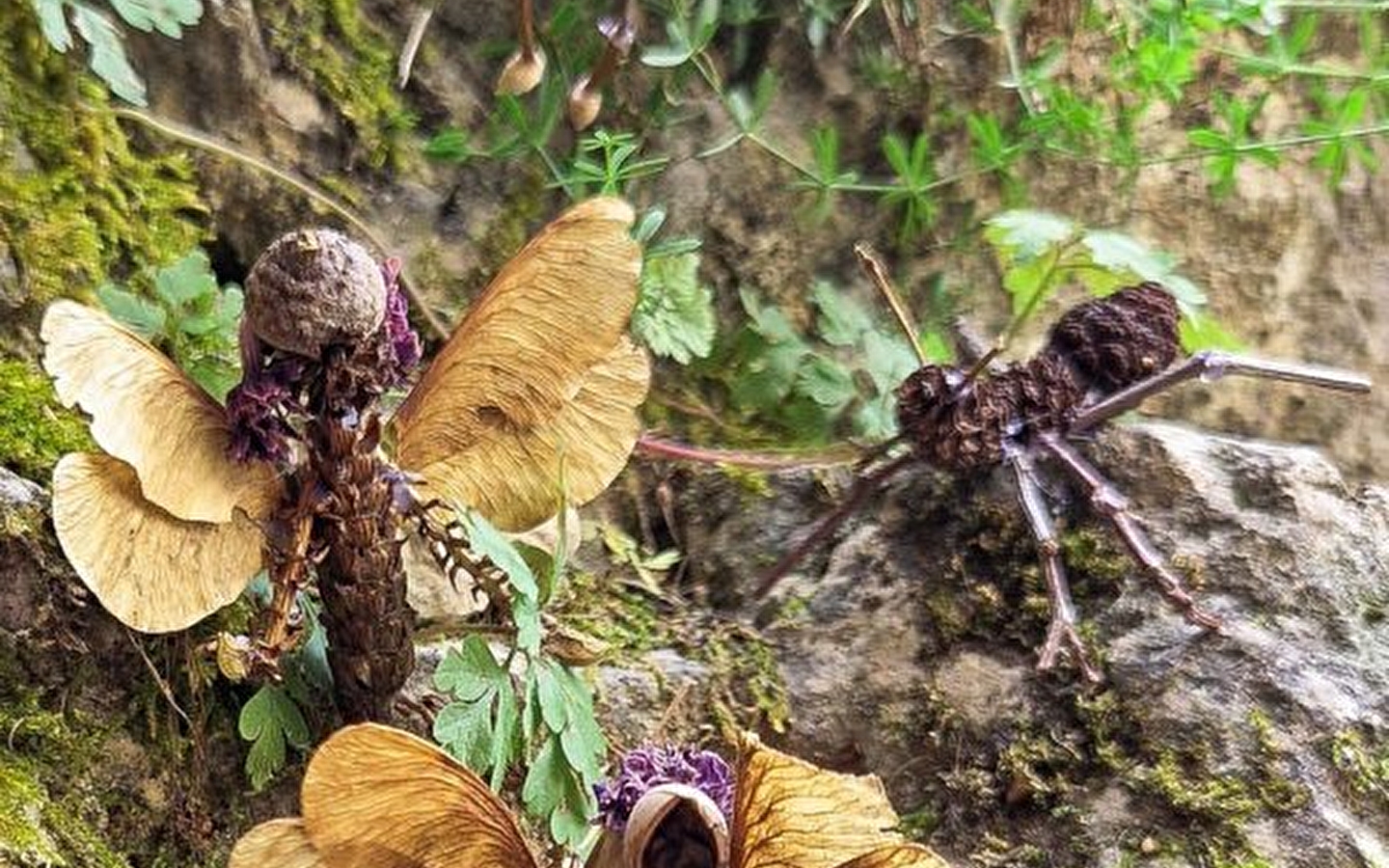 LAND ART WORKSHOP: SURPRISING NATURE