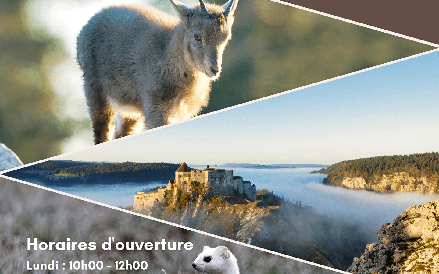 Paysages et Animaux sauvages du Haut-Doubs photo exhibition