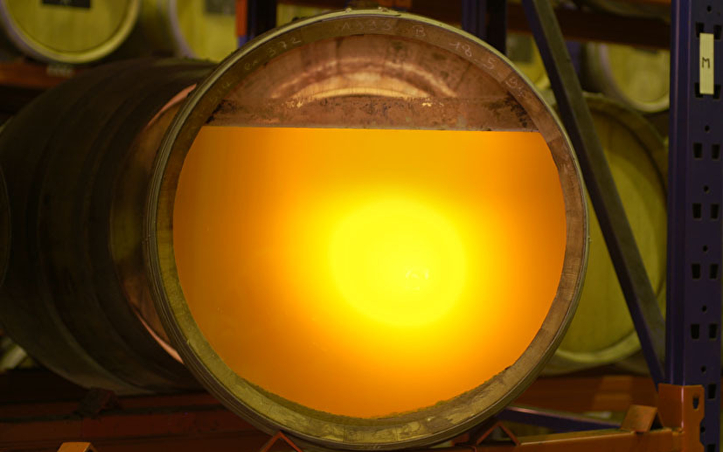 Cellar visit and tasting at Château Béthanie