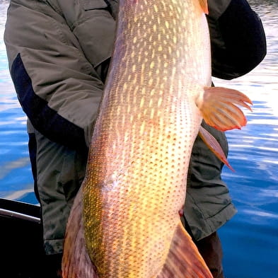 Pêche au lac de Chalain