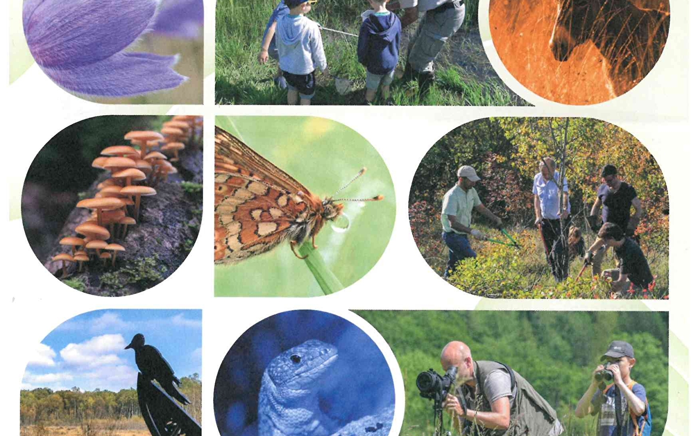 Nature outing and 'Draw me a herbarium!' workshop