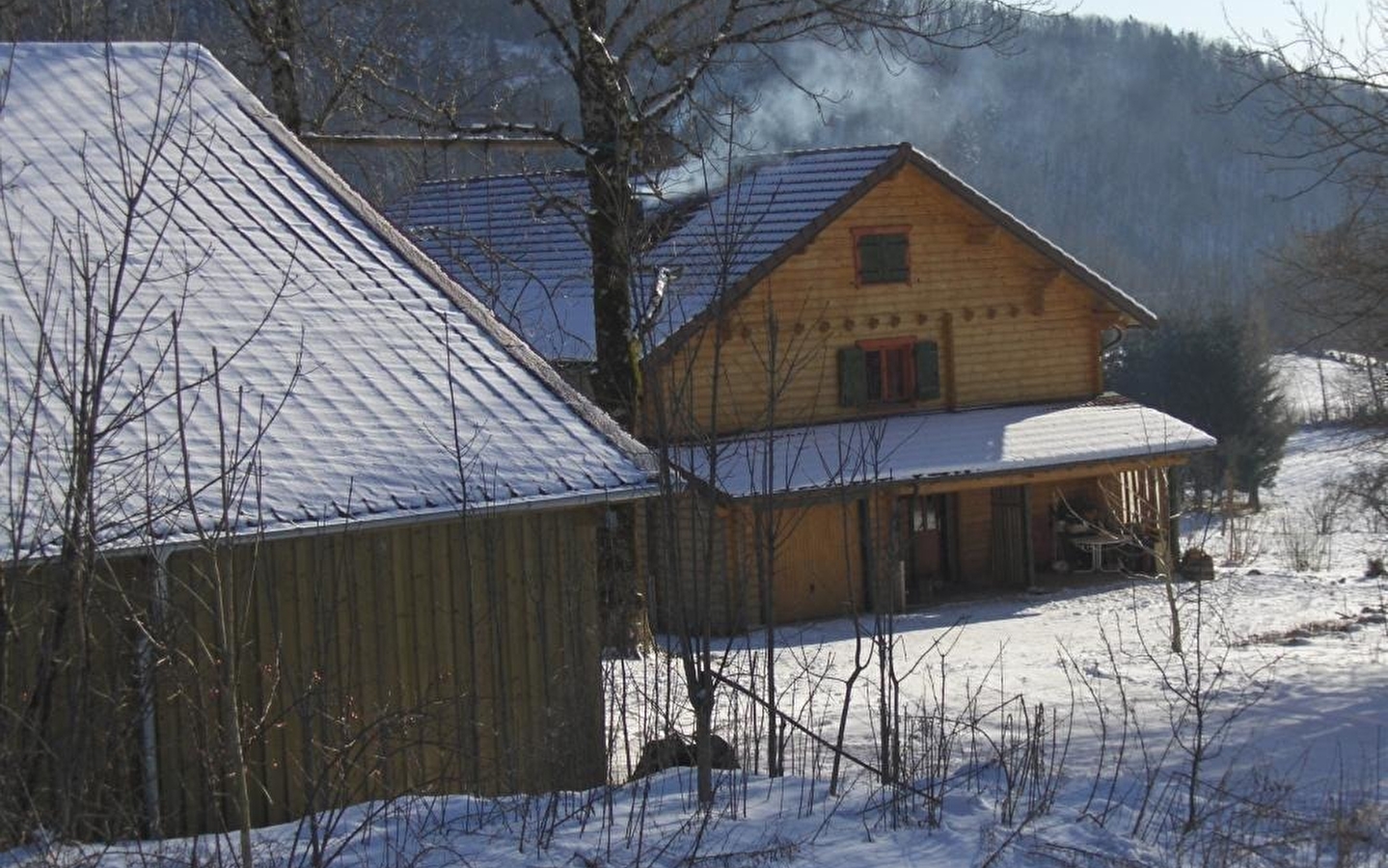 Chalet Scandinave Organique