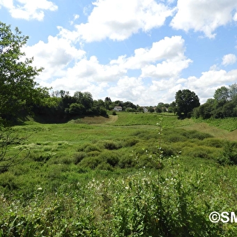 Loop of natural environments in the Saône marshes - SAONE