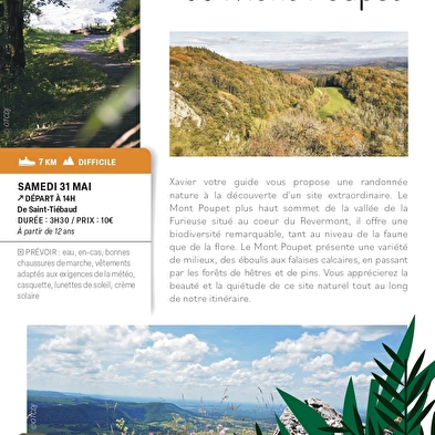 A history of Mont Poupet