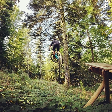 Piste VTT Descente rouge - Bugey Libre - Espace Ain Forestière