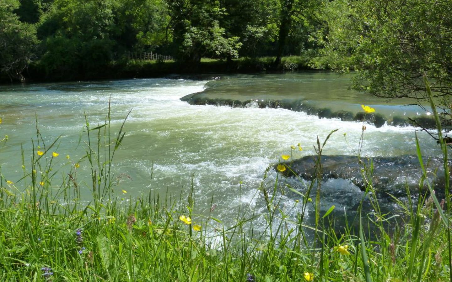 Vallée du Cusancin