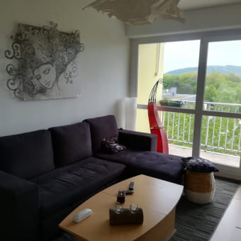 Appartement Le Belvédère - MONTBELIARD