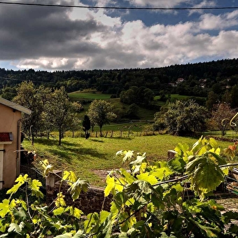 Gîte La Vigne - CHARIX