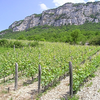 Les Grangeons de l'Albarine - ARGIS