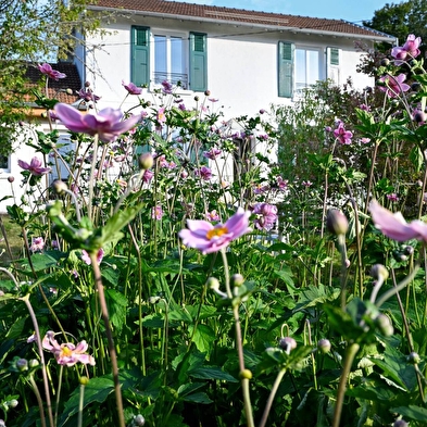 La Petite Sommière - Appartement Clarisse