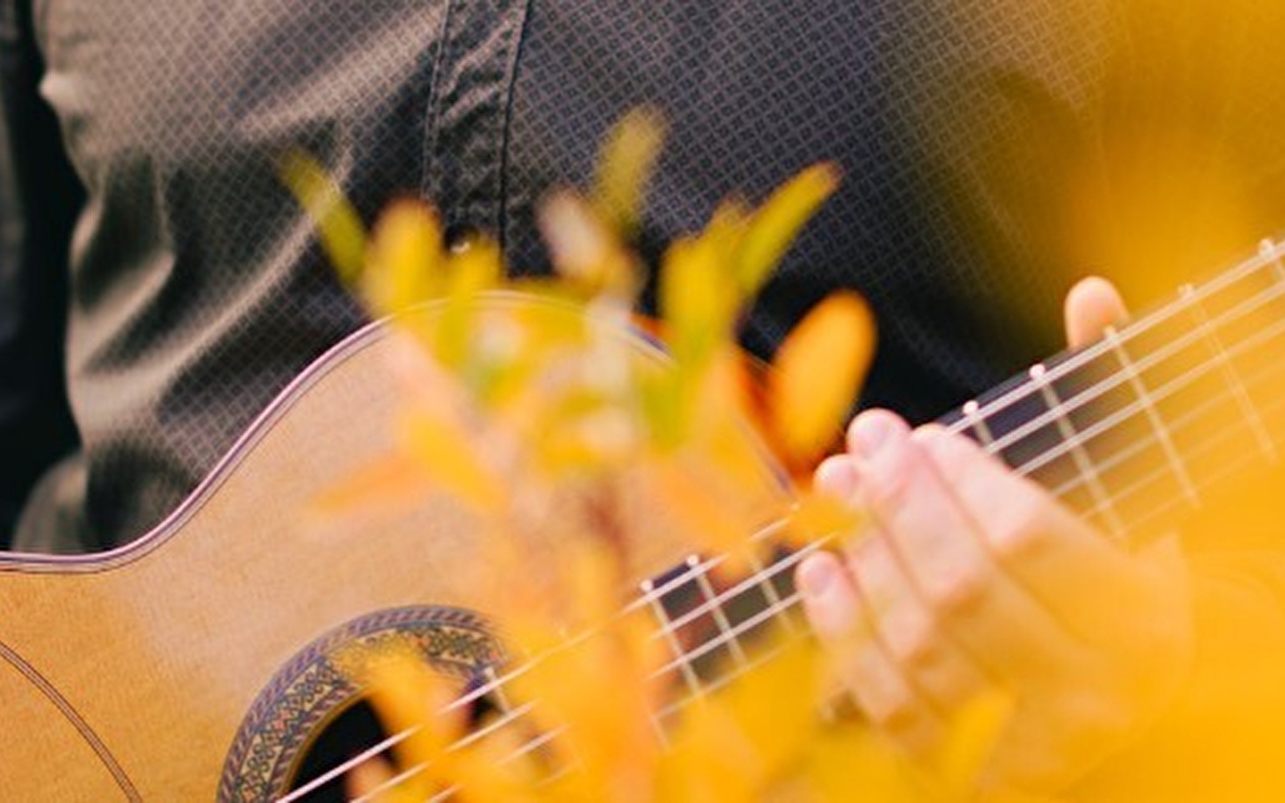 MEMORY OF STRINGS' concert