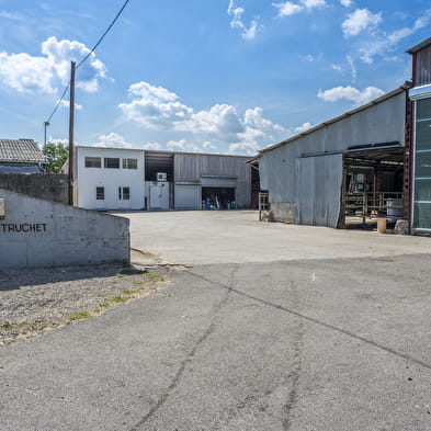 Visite pour les scolaires de la Ferme du Truchet