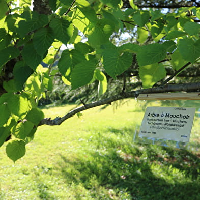 Flânerie autour des arts au Domaine de la Garde