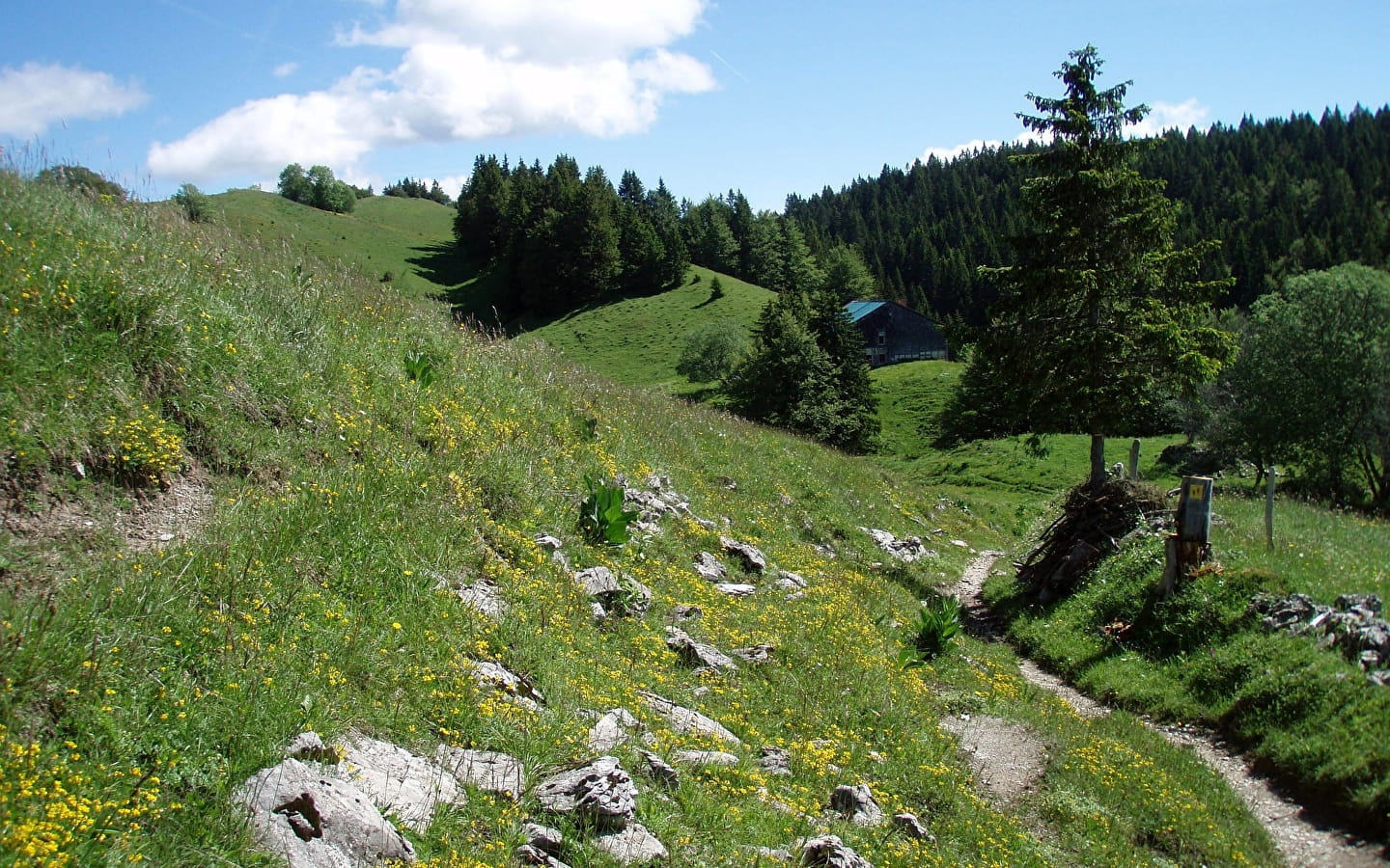 GRP Tour du Haut Jura Sud