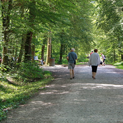 Forêt domaniale de Seillon, ENS de l'Ain