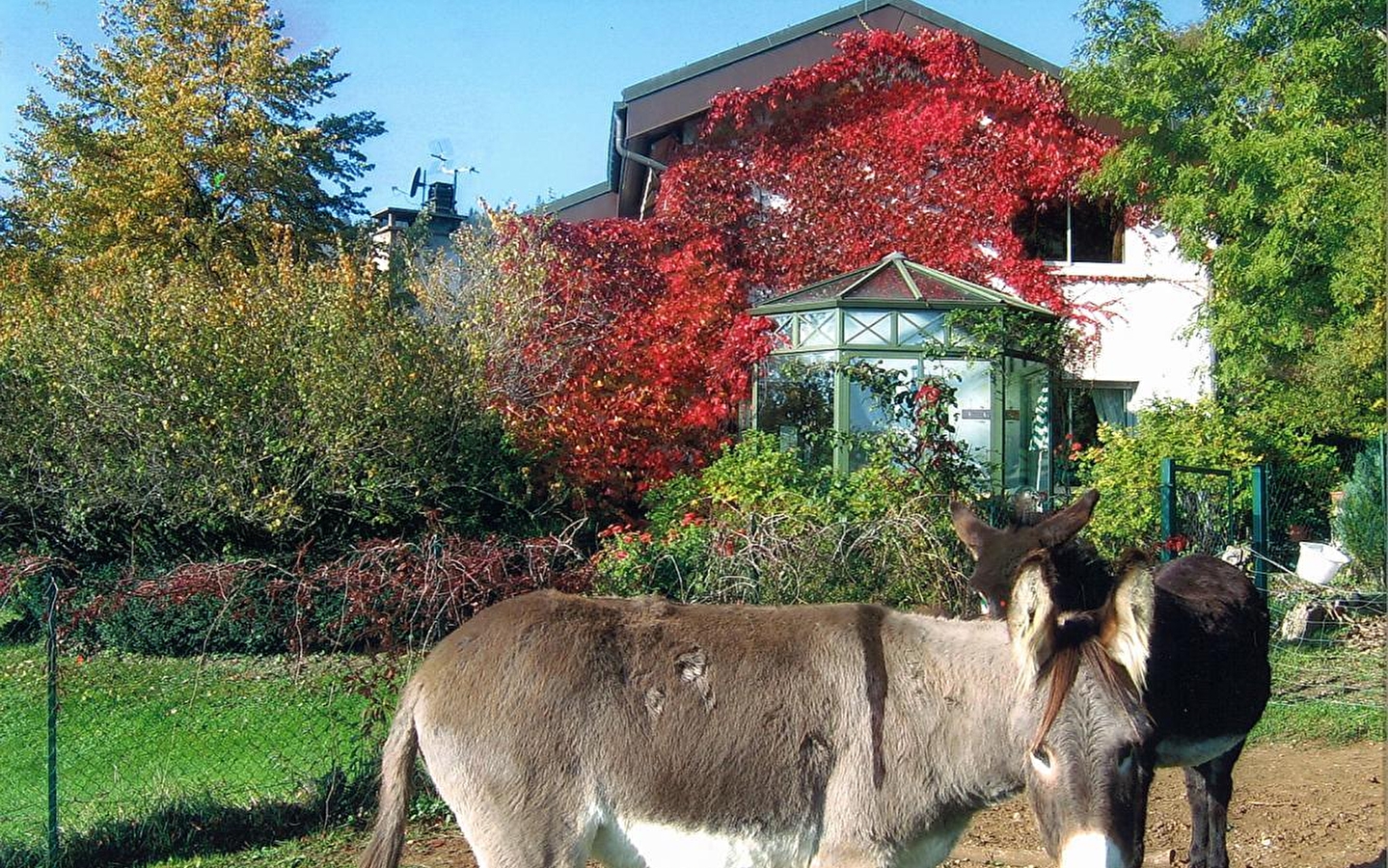 Gîte n°G1591