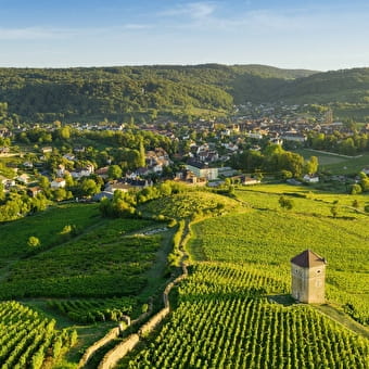 The Echappée Jurassienne in the vineyards - PORT-LESNEY