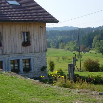Appartement - Gîte du Mont de Spey - PAYS-DE-MONTBENOIT
