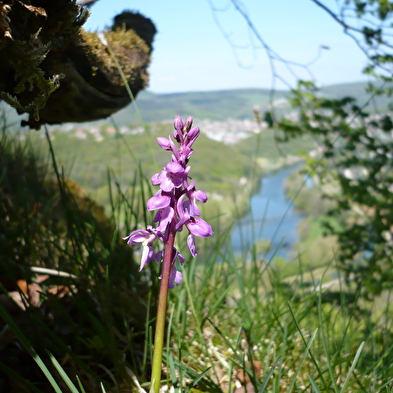 Mount dommage hiking loop