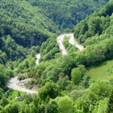 In the heart of the Haut-Jura Regional Nature Park
