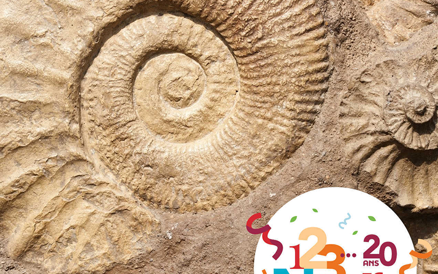 123 NATURE OUTING: COMPLETE FOSSILS