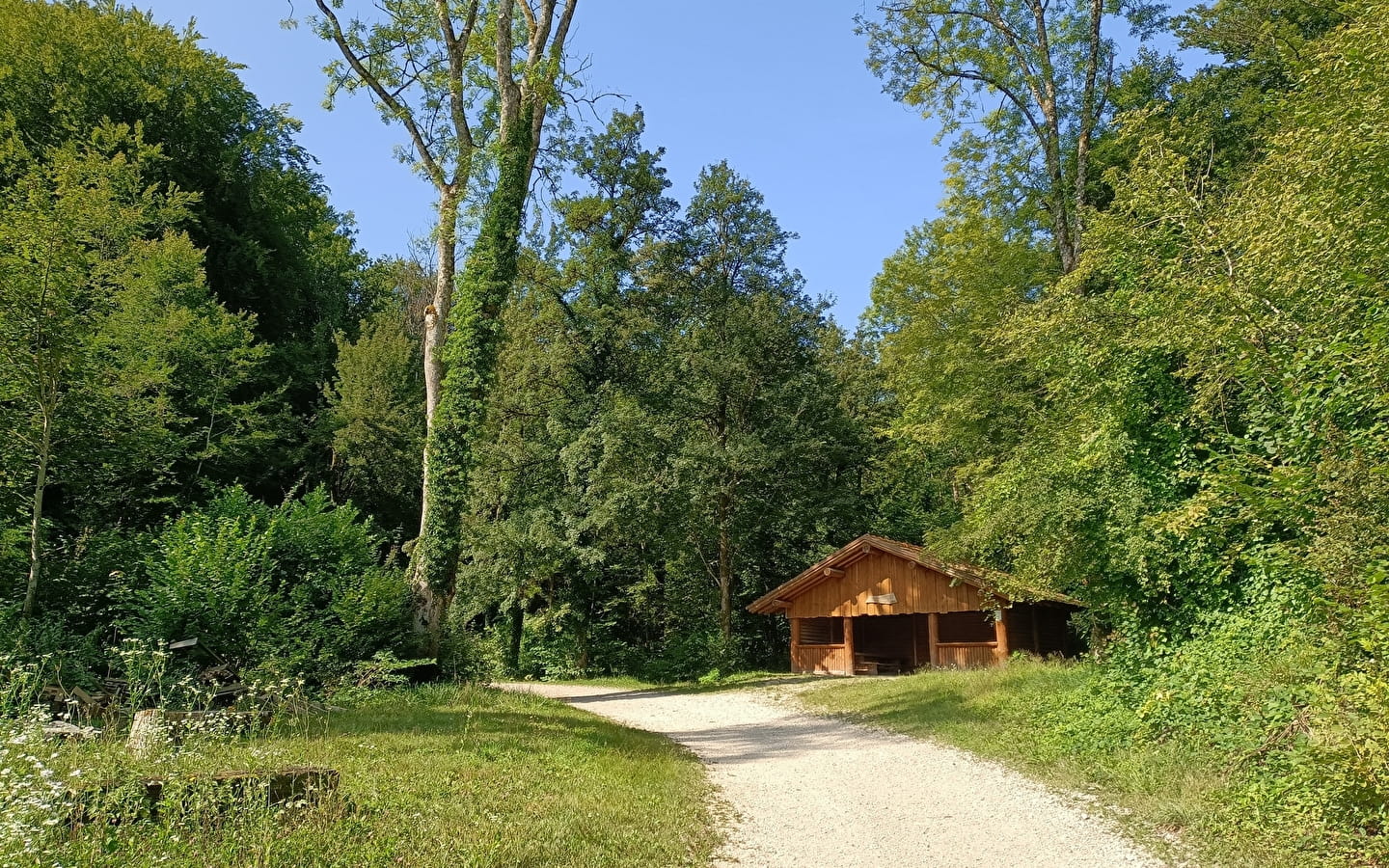 Tour of the Bois de Villars-Sous-Écot Maquis Monument