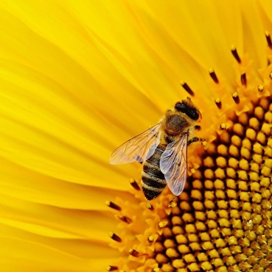 Spring workshops