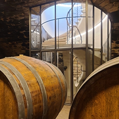 From laboratory to vineyard: in the footsteps of Pasteur in Arbois