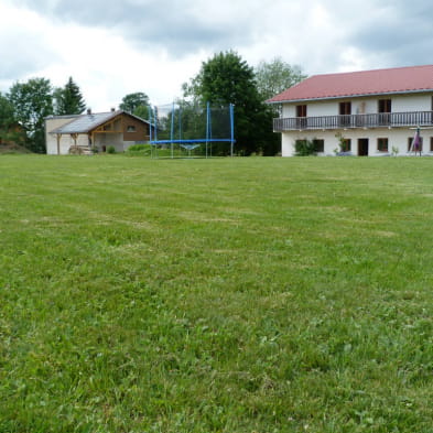 Appartement - Gentiane Jaune