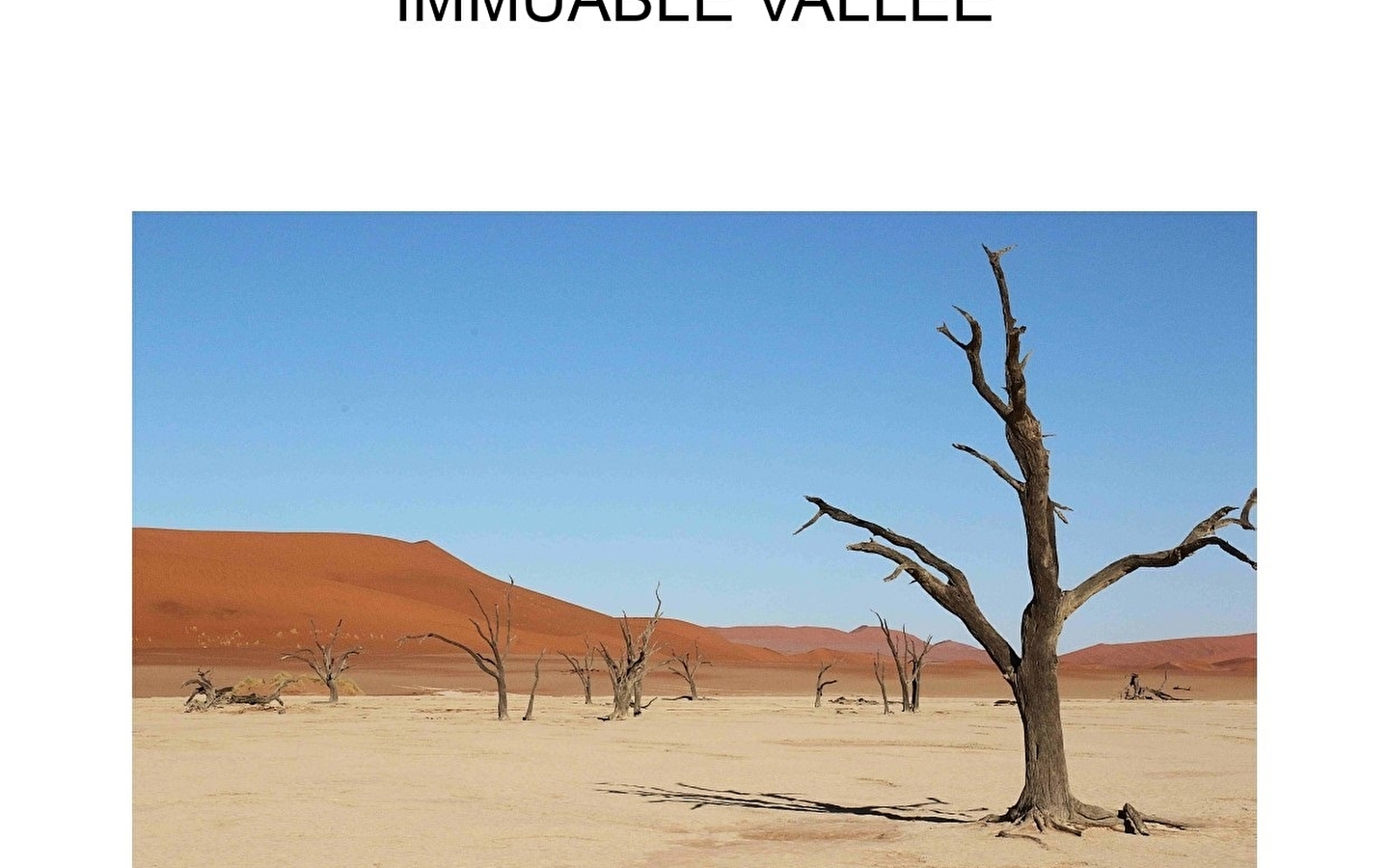 Immutable valley