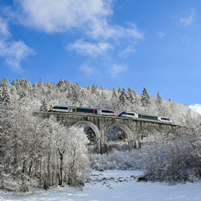 Ligne des Hirondelles excursion - Take on the viaducts! 