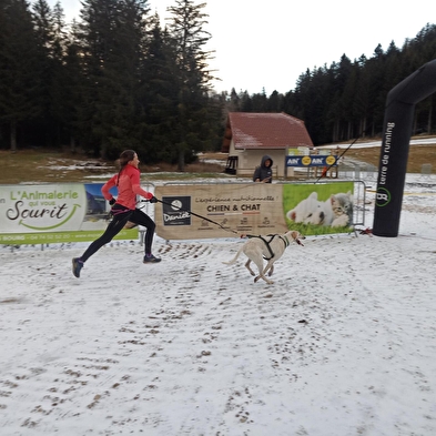 Canicross - Les grenouilles sur un plateau