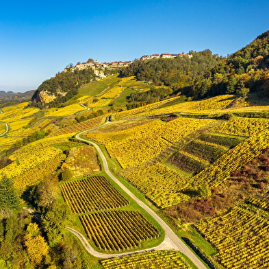 Château Chalon and Baume les Messieurs - 'Most beautiful villages in France' in the Jura region