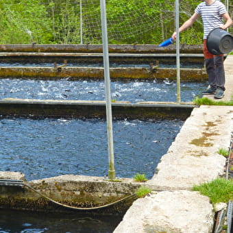 Pisciculture du Moulin de Pierre - MONT-SUR-MONNET