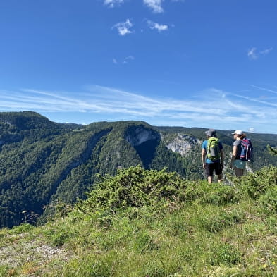 Les Grès de Septmoncel 