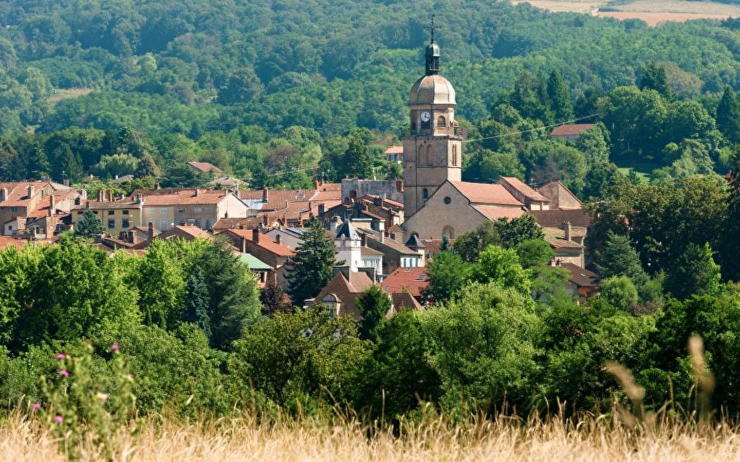 Aire de Camping Car de Saint-Amour
