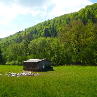 La Ferme de la Maison du Bois - MONNET-LA-VILLE