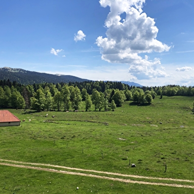 La Grande traversée du Jura à vélo - GTJ by bike