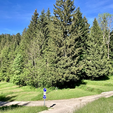 Camping-Chalets La Favière