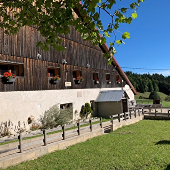 Auberge au coeur des rêves - hébergement en dortoir - GRAND'COMBE-CHATELEU