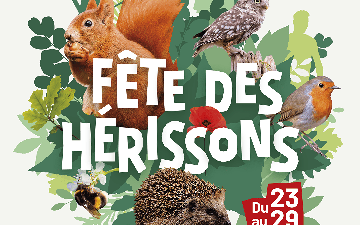 Hedgehog Festival - Conference: how to preserve the European hedgehog?