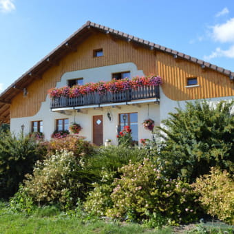 Appartement - Le Sourire de la Cloison Guillaume - MONTFLOVIN