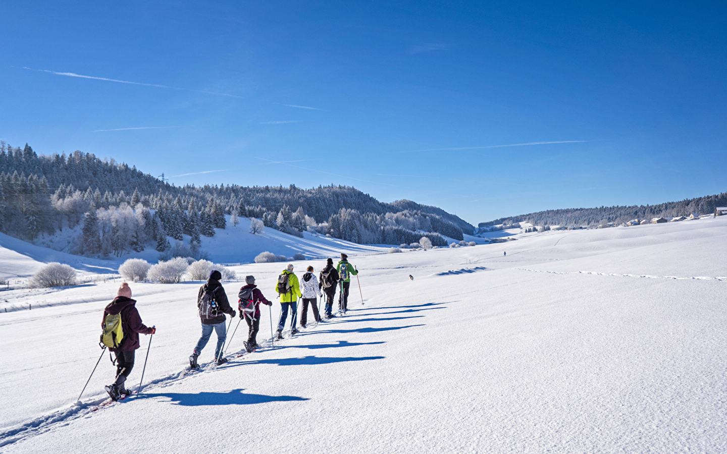 Snowshoeing trails in Nanchez