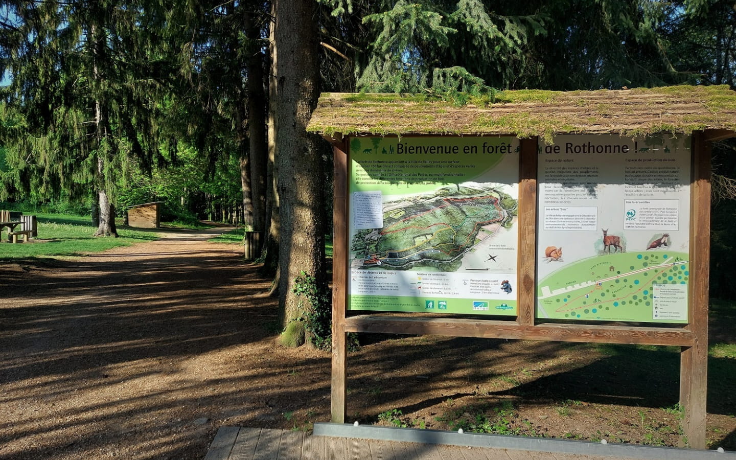 La forêt de Rothonne