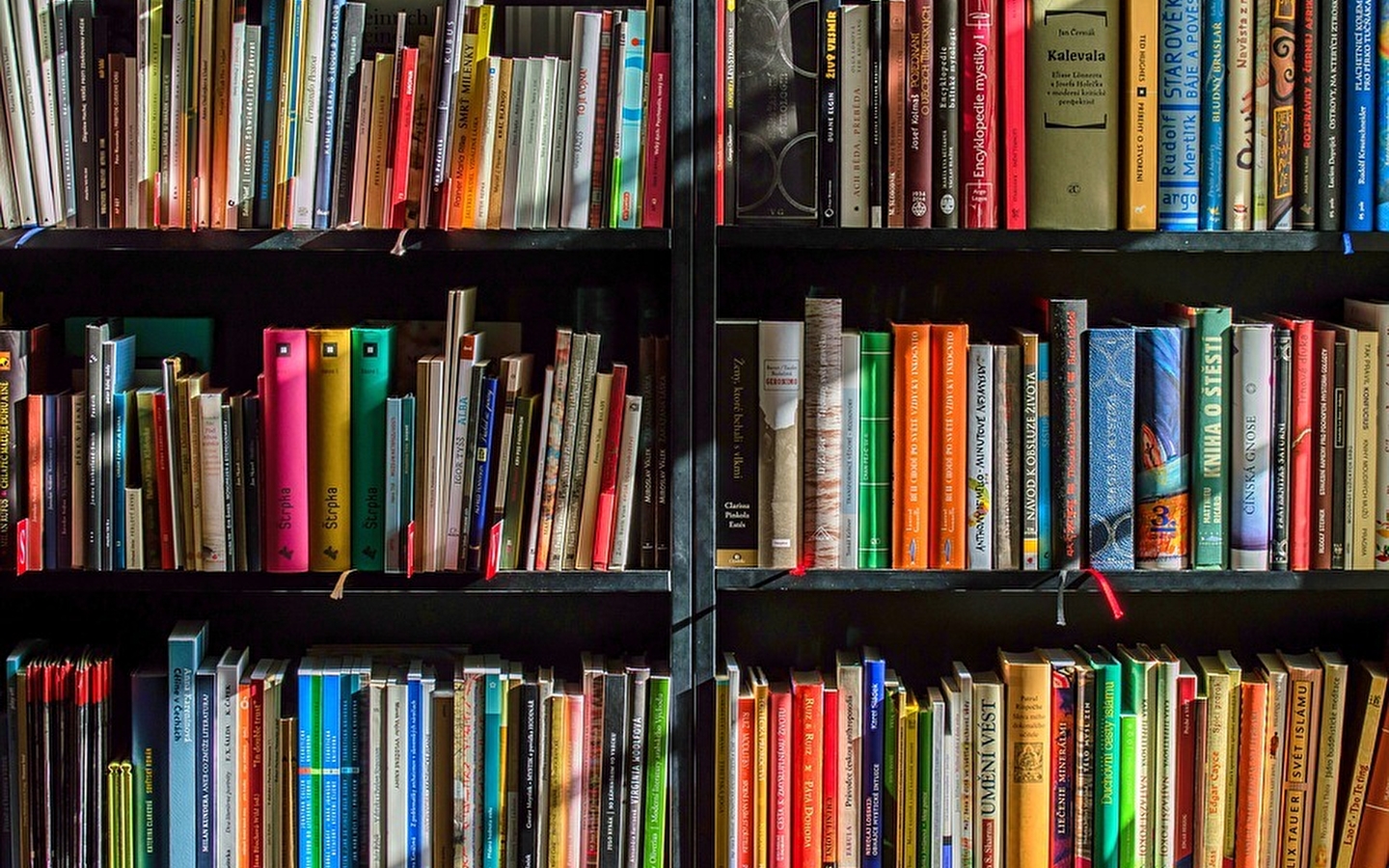 Workshop - Literary café