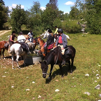 Poney Découverte au Ranch des Balmettes